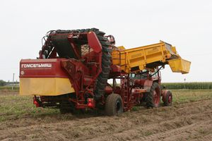 Harvester für Kartoffeln / aufgesattelt / mehrreihig