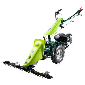 Motormäher / mit Schneidwerk