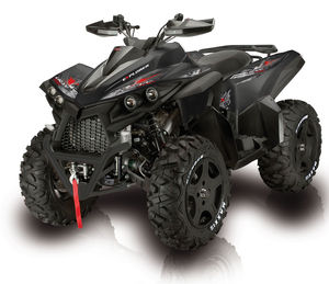 4x4-Quad / Benzinbetrieben / für Nutzlasten