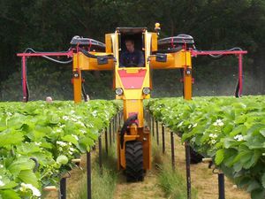 Traktor mit erhöhtem Fahrgestell / mechanisches Getriebe / mit Kabine / für Fräser