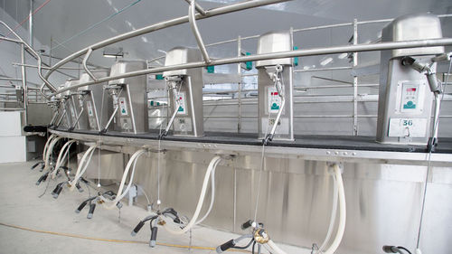 Salle De Traite Rotative T Gea Pour Vaches Avec Sortie Rapide