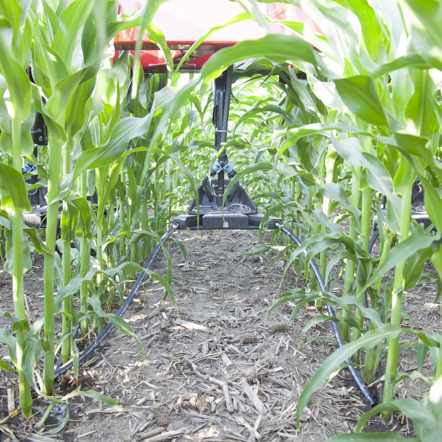 Fertilizer Drop Hose For Liquid Nitrogen Y Fertilizer Drop Hose For Liquid Nitrogen Y Sidedress