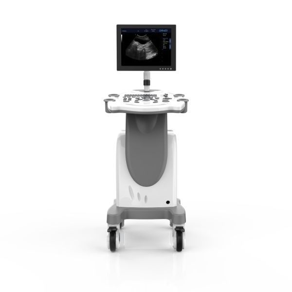 Trolley Mounted Veterinary Ultrasound System Mt Dawei Veterinary