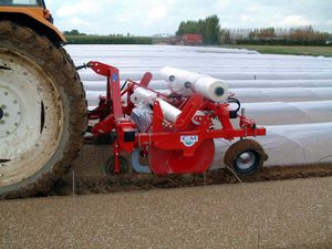 plastic mulch layer