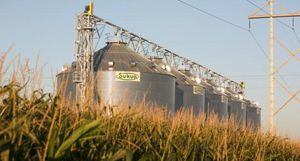 grain conveyor / chain