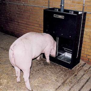 pig trough / polyethylene / stainless steel