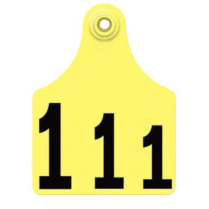 cattle ear tag
