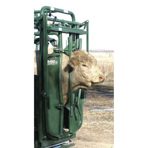 cattle head gate / manual tightening