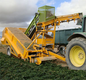 strawberry harvester / trailed / mutli-row