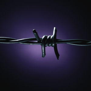 barbed wire