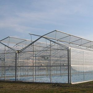 greenhouse covering film / transparent