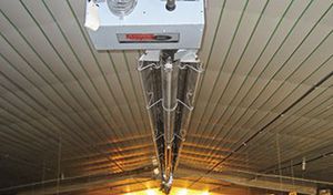 ceiling-mounted infrared heater