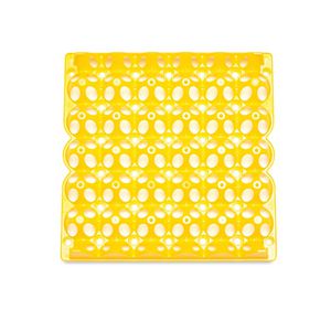 transport setter tray / for chicken eggs / plastic