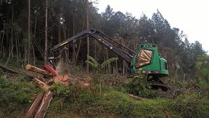 tracked forestry harvester / with crane / slope
