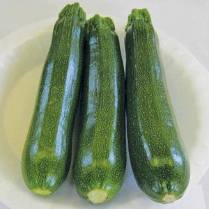 Early Zucchini Seed Cavili Thompson Morgan Hybrid