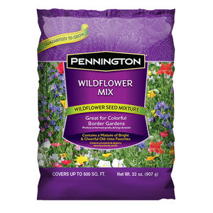 annual floral seeds / mix of colors / for gardens / mixture
