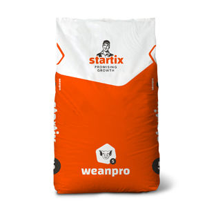 growth enhancer feed additive / pig / liquid