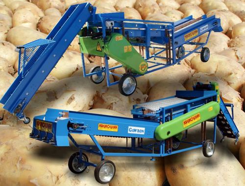 Onion Sorter Gawron M K F M R Sp Z O O Krukowiak Potato