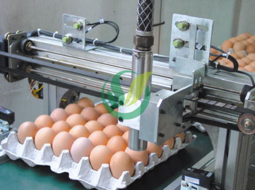 Automatic Egg Coding Machine Chengdu Shengxing Poultry Machinery Co