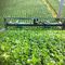 Spinach Harvester Machine Koppert Machines Lamb S Lettuce Lettuce