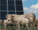 Agri-PV-Überdachungen