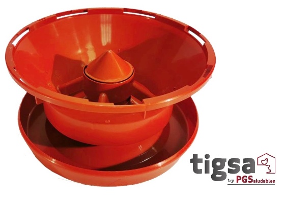 TIGSA Photo 3