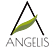 ANGELIS OLIVE HARVESTING EQUIPMENT