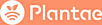 Plantae