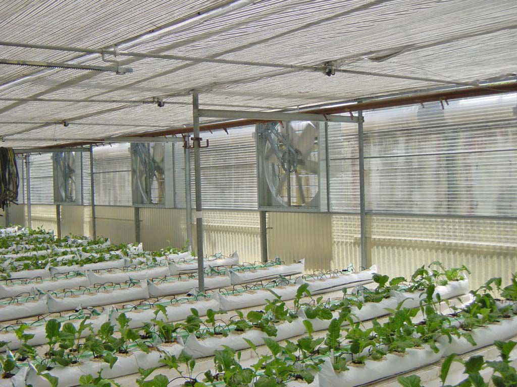 Ventilator für Gewächshaus Eolo Series Idromeccanica Lucchini S.p.A