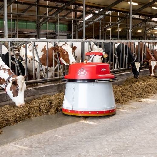 Lely juno preis