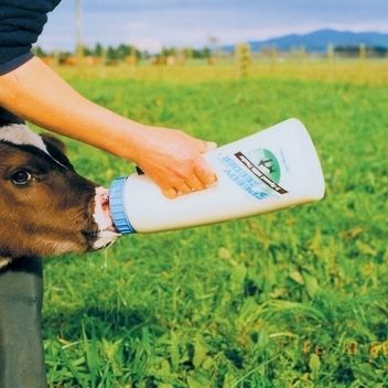 LOORGVEL Kälber Saugflasche 500ml - Mit Silikonnippel Für Tierfütterung