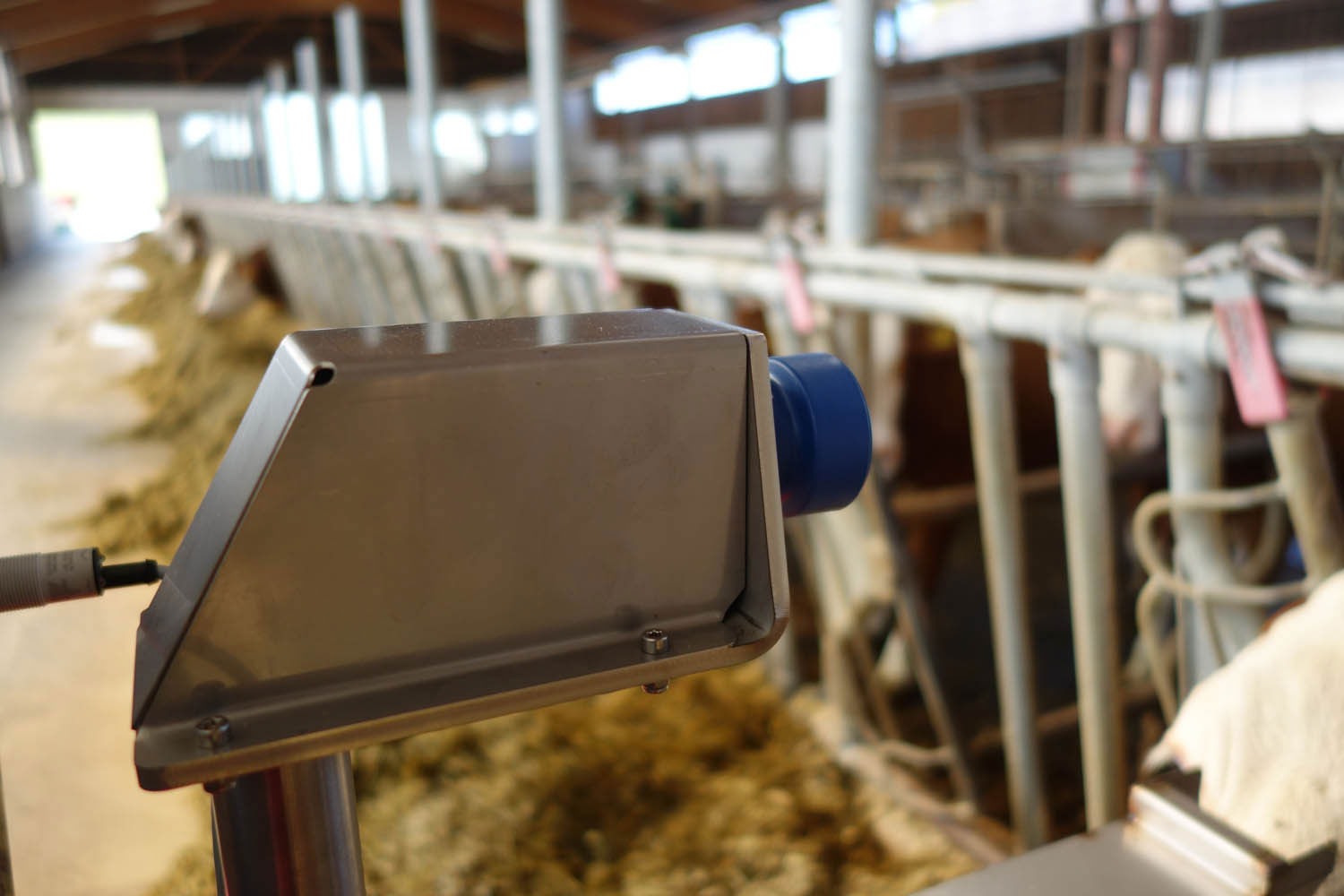 Robotisierter Futterschieber - FARO - Schauer Agrotronic GmbH - automatisch