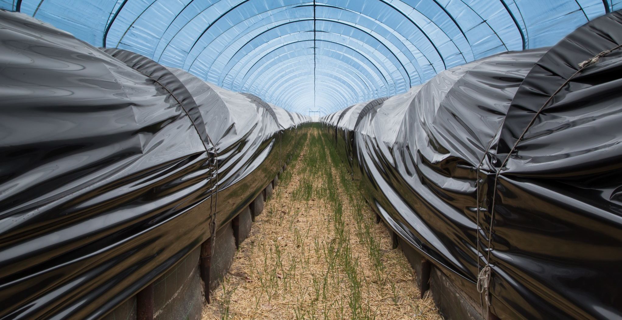 Folie für Gewächshaus OERLEMANS PLASTICS BV undurchsichtig / UV
