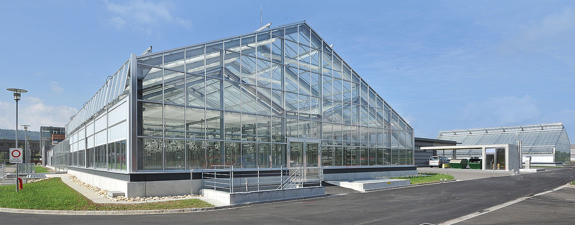 Einkuppeliges Gewächshaus BFlex Syngenta Kräss GlasCon GmbH