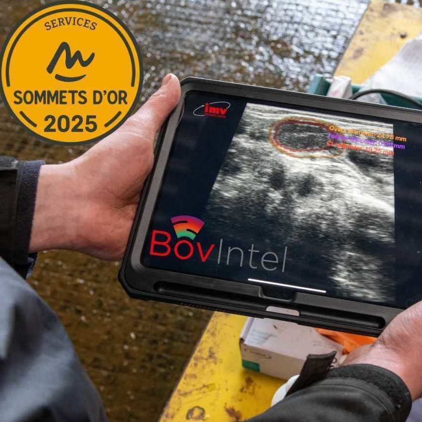 Veterinär-Handscanner Mit 3,5 MHz Sonde – Tragba Produktbild-Vorschau 4