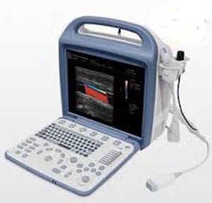 Tragbarer Veterinär-Ultraschall Scanner - B-Ultraschall Für Nutztiere - Schwangerschaftstest Für Schweine & Ziegen