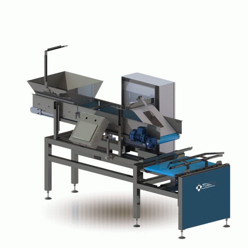 Kistenfüllmaschine PRCP tosca