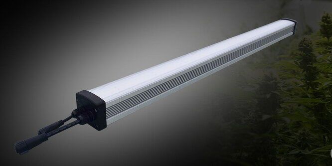Beleuchtung für Gewächshaus Solify Uni HarveLite Lighting LED