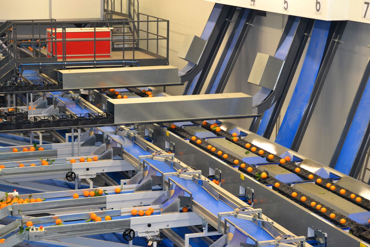 Zitrusfrüchte-Sortieranlage - Quadra Machinery - optisch