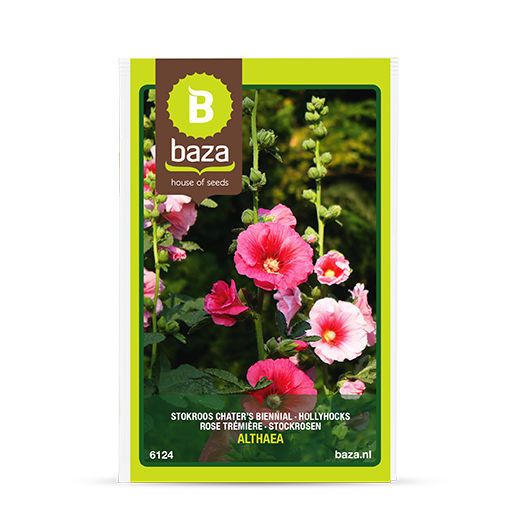Blumensaat / einjährige Pflanze Hollyhocks BAZA Seeds Holland b.v