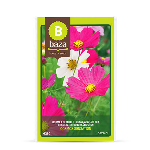 Gemischte Blumensaat 6280 BAZA Seeds Holland b.v. einjährige