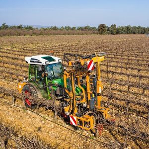 Schneidemaschine für Weinbau