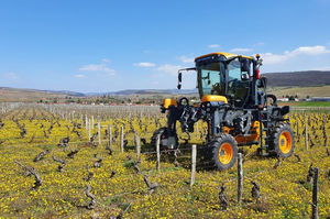 Portaltraktor 1