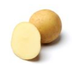frühe Kartoffelsaat