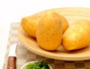 mittelfrühe Kartoffelsaat