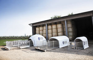 Hütte für Zuchtzwecke
