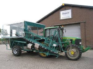 Sellerie-Erntemaschine