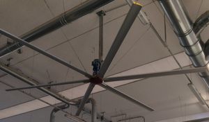 Ventilator für Landwirtschaftsgebäude