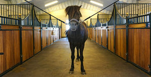 Stall