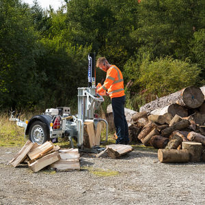 benzinbetriebener Holzspalter
